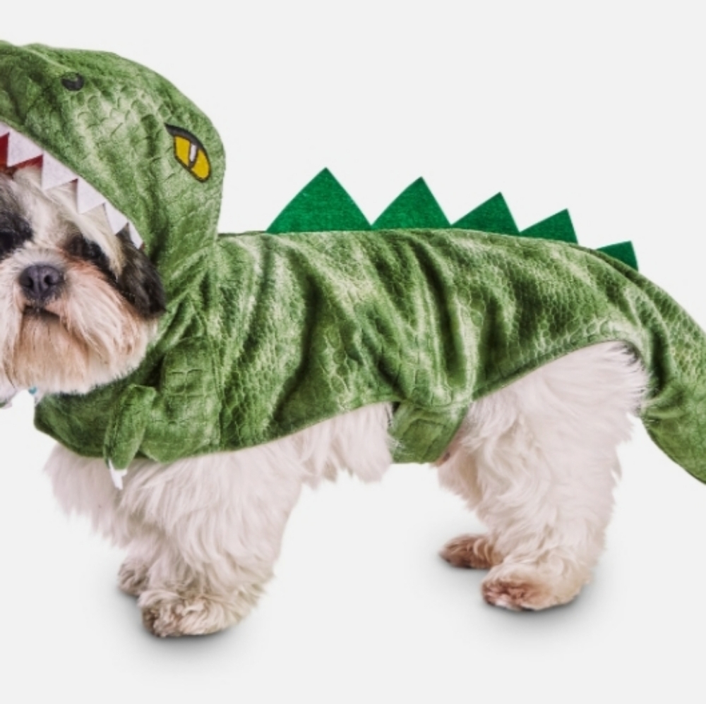 Dog Halloween  Costume.